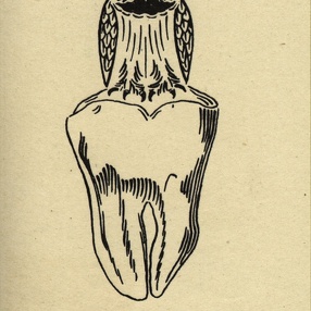 Sbírka exlibris